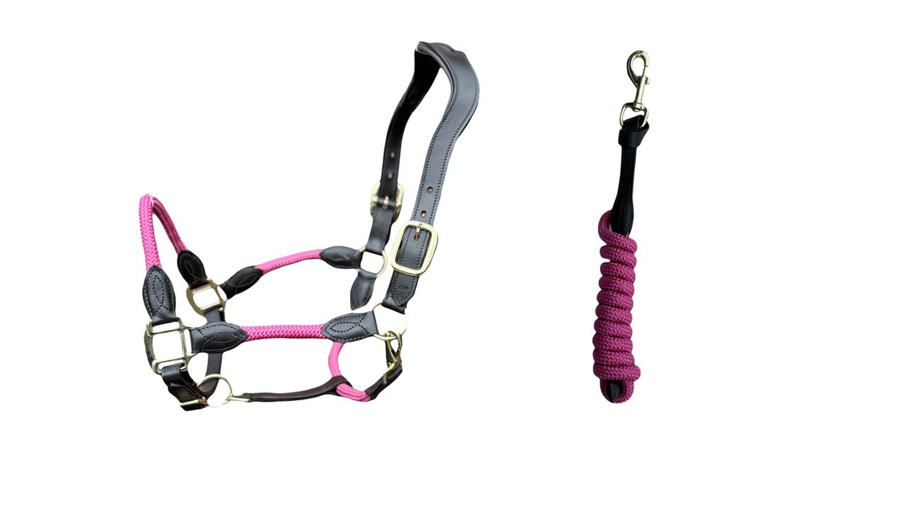 Premium Leather Horse Headcollar, Anatomical Design, Padded, Gold Fittings, with Matching Lead Rope (Pink/Brown, Full)
