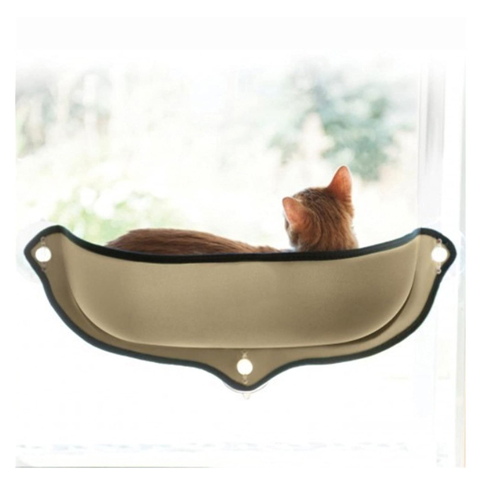 Hamac Chat/Perchoir à Chat Chat lit de chat montage chaude for chat animal domestique amovible mat mat de compagnie solide ventouse ventouse PET confortable hamac chat Products Hamac pour Animaux ( Co