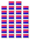 Fiomia Bisexual Pride Flag Temporary Tattoos LGBT Culture Symbol Stickers for Parades Festival Party...