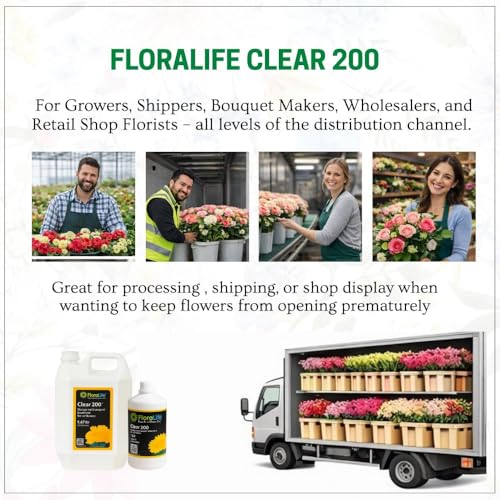 Image of Oasis FloraLife Clear 200, Solution To Keep Cut Flowers Fresh During Storage & Transport (H-200) 1ltr 1 Bottle