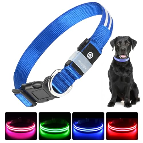 PcEoTllar Coleira leve cão USB recarregável zolled coleira cão coleira impermeável tamanho luminoso ajustável, 3 modos, coleira leve segurança noturna cães pequenos e médios