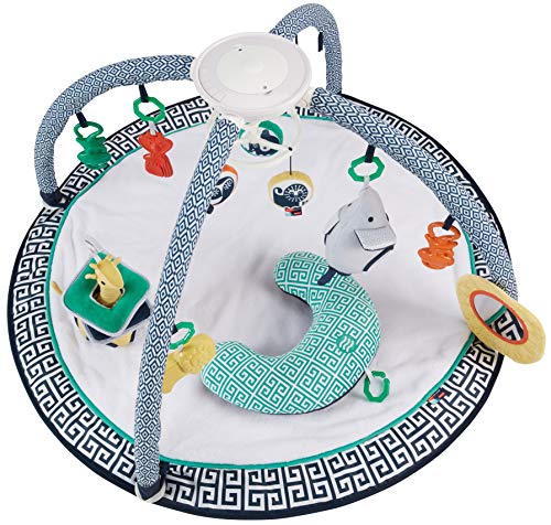 fisher price sensory gym