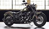  Kotflügel vorne Fender Harley Davidson Softail Heritage Fat Boy Slim FLS FLSS