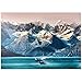Balene Dell'Alaska - Premium 1000 Pezzi Puzzle - MyPuzzle Collezione speciale di Puzzle Galaxy