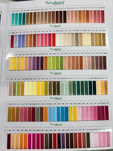 Image of Jaivi Neelam Jumbo Shade Card Rayon Multicolor Embroidery Thread Matching - 850 Shades