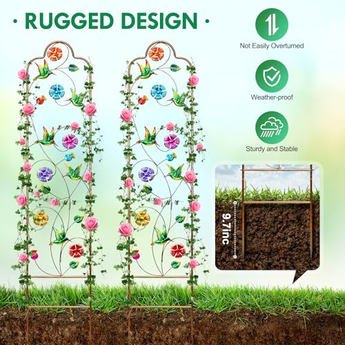 Recopilación y reviews de Enrejado para trepadoras exterior comprados en linea. 24 Imagen adicional
