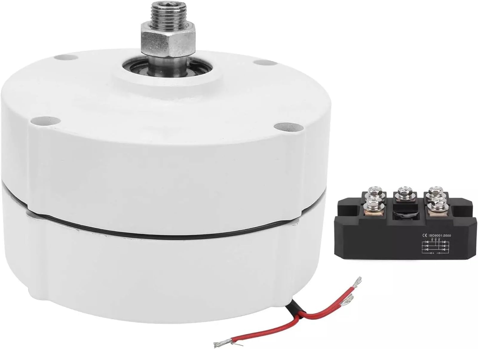 200W Three-Phase Alternato Rwith Rectifier Rare Earth NdFeB Permanent Magnet Electric Motor Generator DIY AC Alternator 200w Permanent Magnet Motor(100w,48v)
