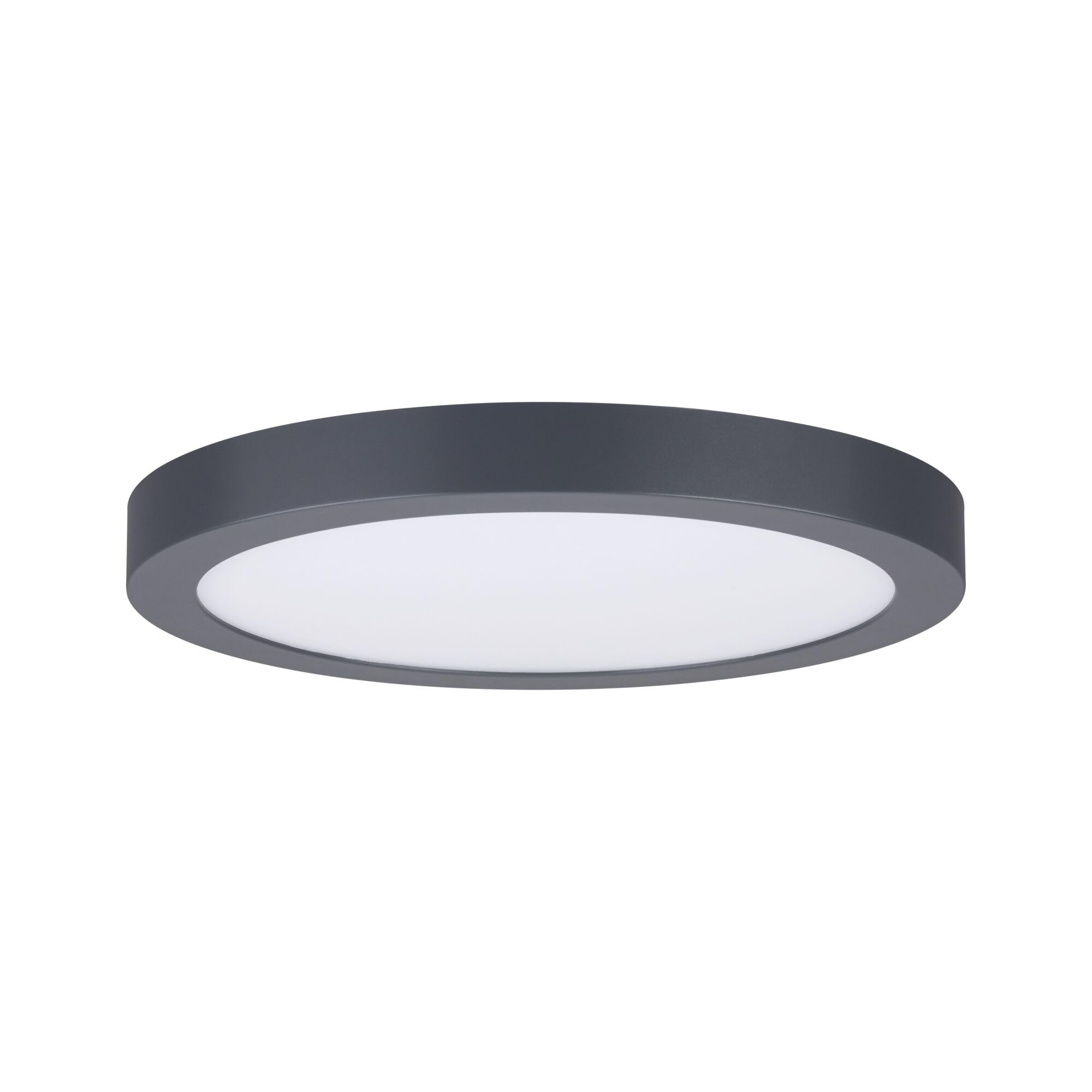 Paulmann 70988 LED Panel Abia 300mm Warmweiß rund incl. 1x22 Watt Dunkelgrau matt Deckenlampe Kunststoff 2700 K