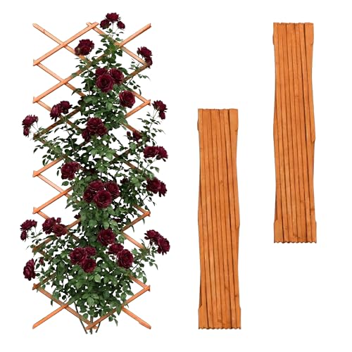 Relaxdays Rankgitter ausziehbar, 3er Set, 310x90 cm, Holz, Wandmontage, Rankhilfe Kletterpflanzen, Holzgitter, orange
