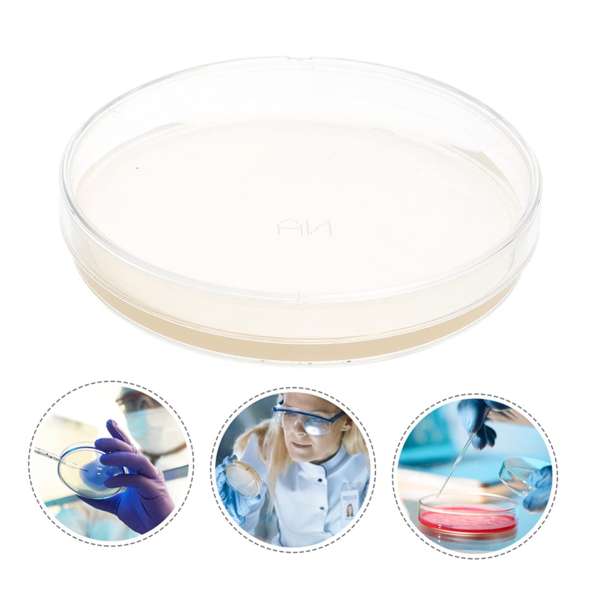 20 Pièces Boîtes De Pétri Pré-Coulées Avec Agar Pour Expérimentation Scientifique Stem 2.76X2.76X0.79In Plaques De Gélose Nutritive Pour École Et Laboratoire