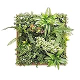 BONERVA Jardín Vertical Artificial Taormina con Marco de Madera Natural 50x50 cm Cuadro Vegetal Decorativo para Interior Estilo nórdico y contemporáneo sin Mantenimiento en oficinas y hoteles