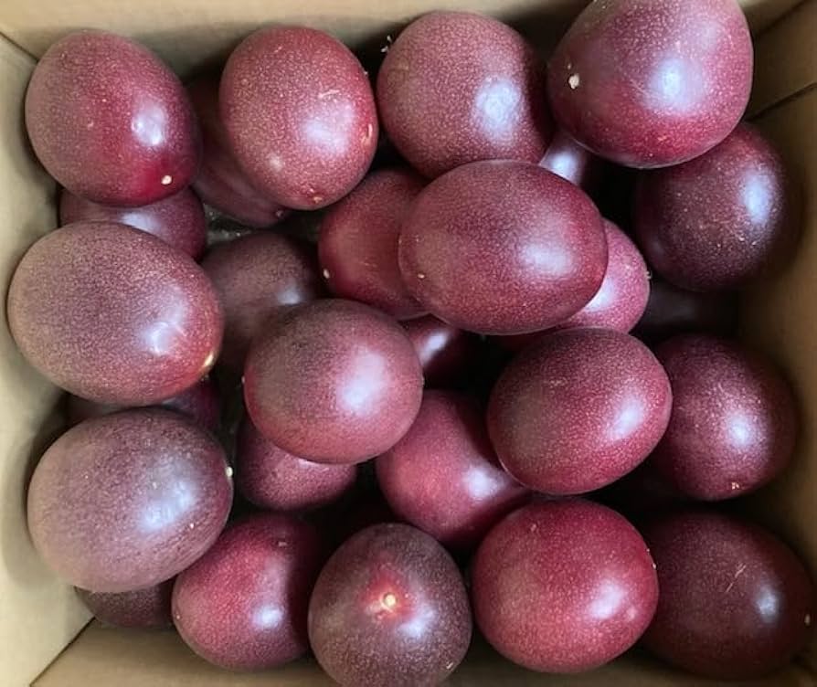 訳ありパッションフルーツ　7．２キロ以上 楽天市場】パッションフルーツ 2kg （26玉～30玉） 送料無料