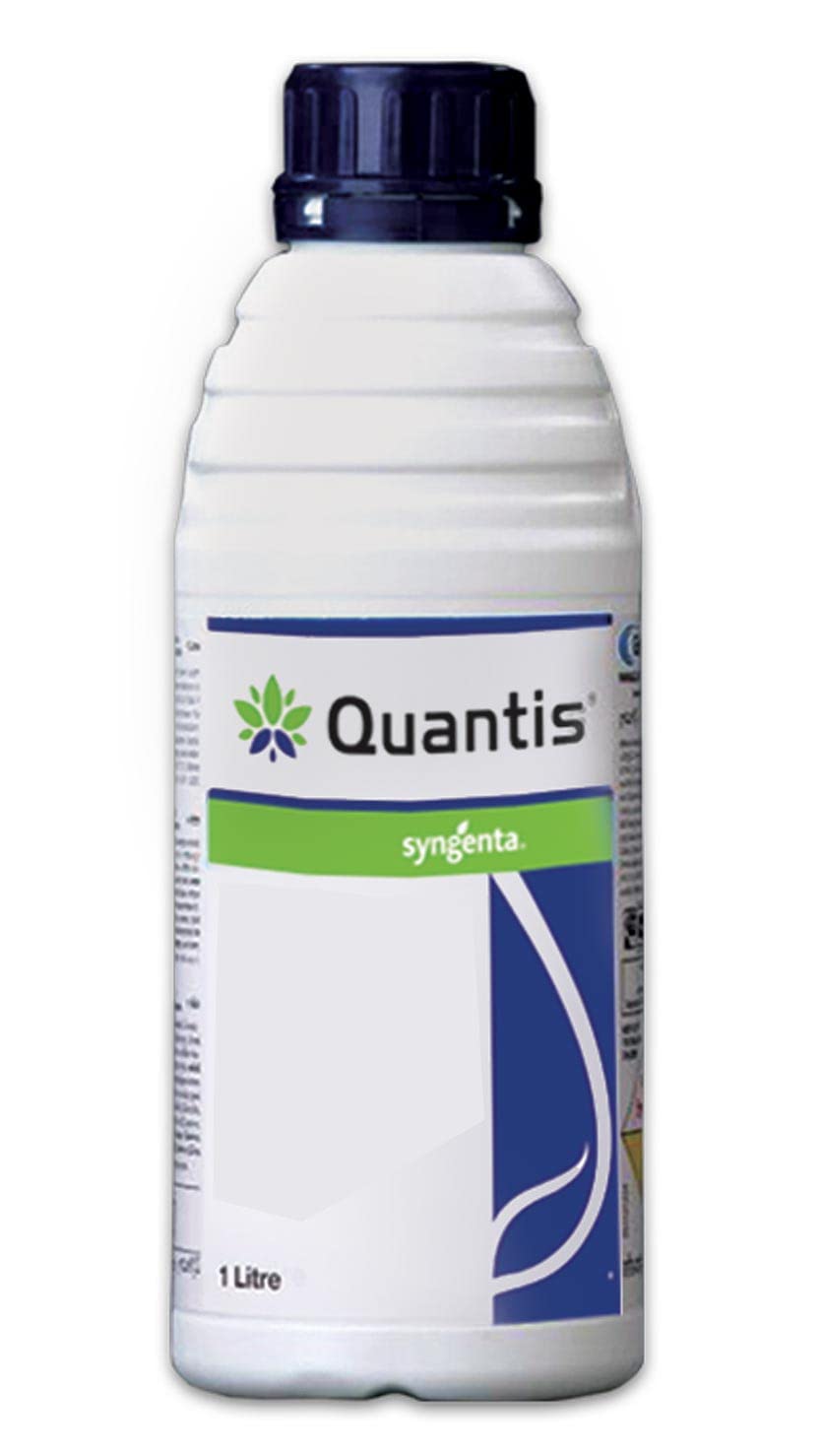Quantis 1L (Pack of 1)