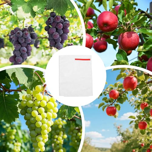 Bolsas de frutas transpirables con diseño de flujo de aire 4