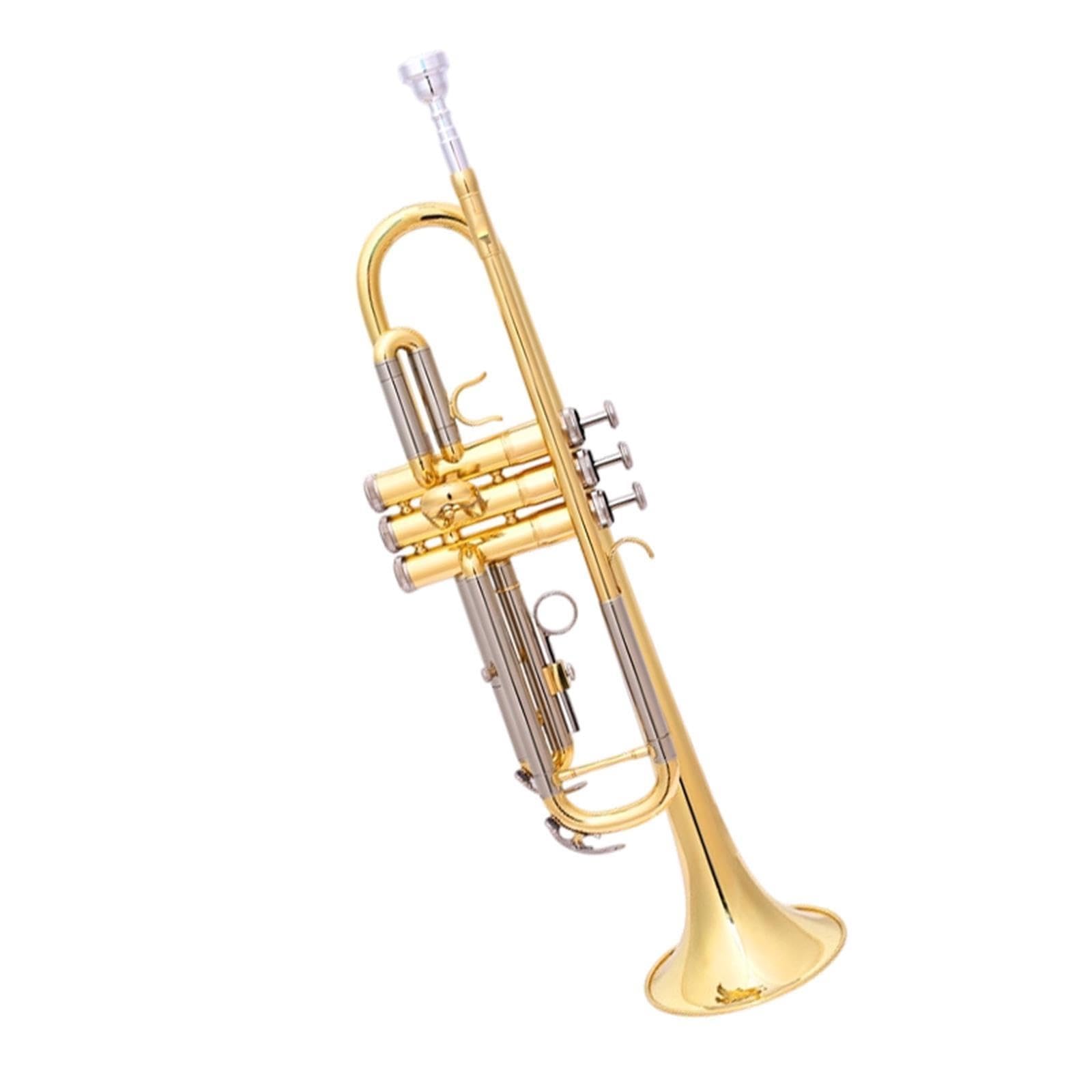 Professional Trumpet Trompeta en Sib para principiantes