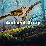 Twittering Protected