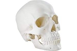 skull & co. gripcase for nintendo switch OLED, ergonomic case with grips...