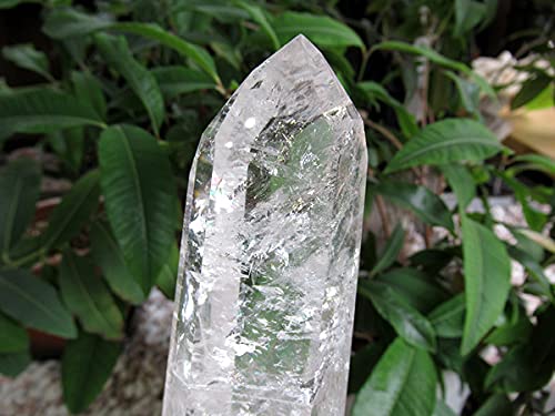 Amazon.co.jp: レインボースタッデッドクォーツ/天然水晶ポイント