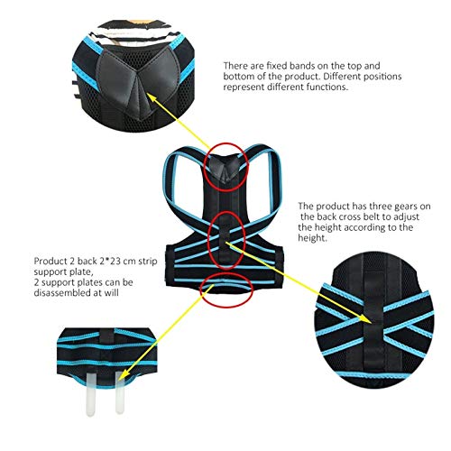 Correcteur posture dos enfant ergonomique de qualité supérieure - 2