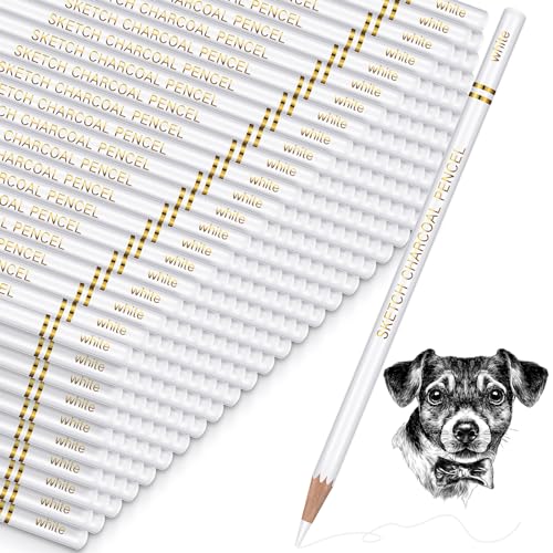 Resurhang 100 Pcs Charcoal Pencils Drawing Set, Charcoal Pencils bulk for Drawing Sketching Shading Blending Portrait Beginners and Artists(White,White Style)