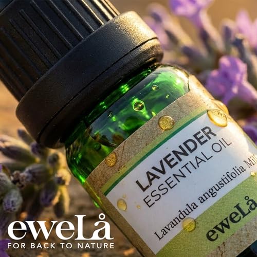 Aceite Esencial de Lavanda Ewela 100% Puro 0.34 Fl Oz miniatura 5