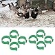 TOPINCN 100 Stück Geflügelfüße Ringe Offene Schnalle Zuchtidentifikation Beinbänder Huhn Ente Gänse Fußringe Geflügelausrüstung(25mm)