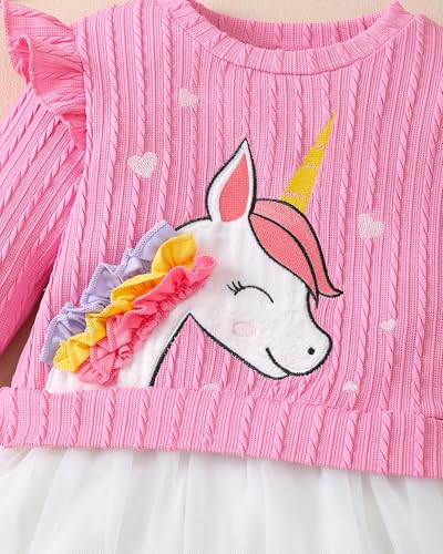 Rosibel Toddler Girl Tutu Dress Girls Long Sleeve Autumn Spring Tulle Casual Dresses for 2-7 Years3