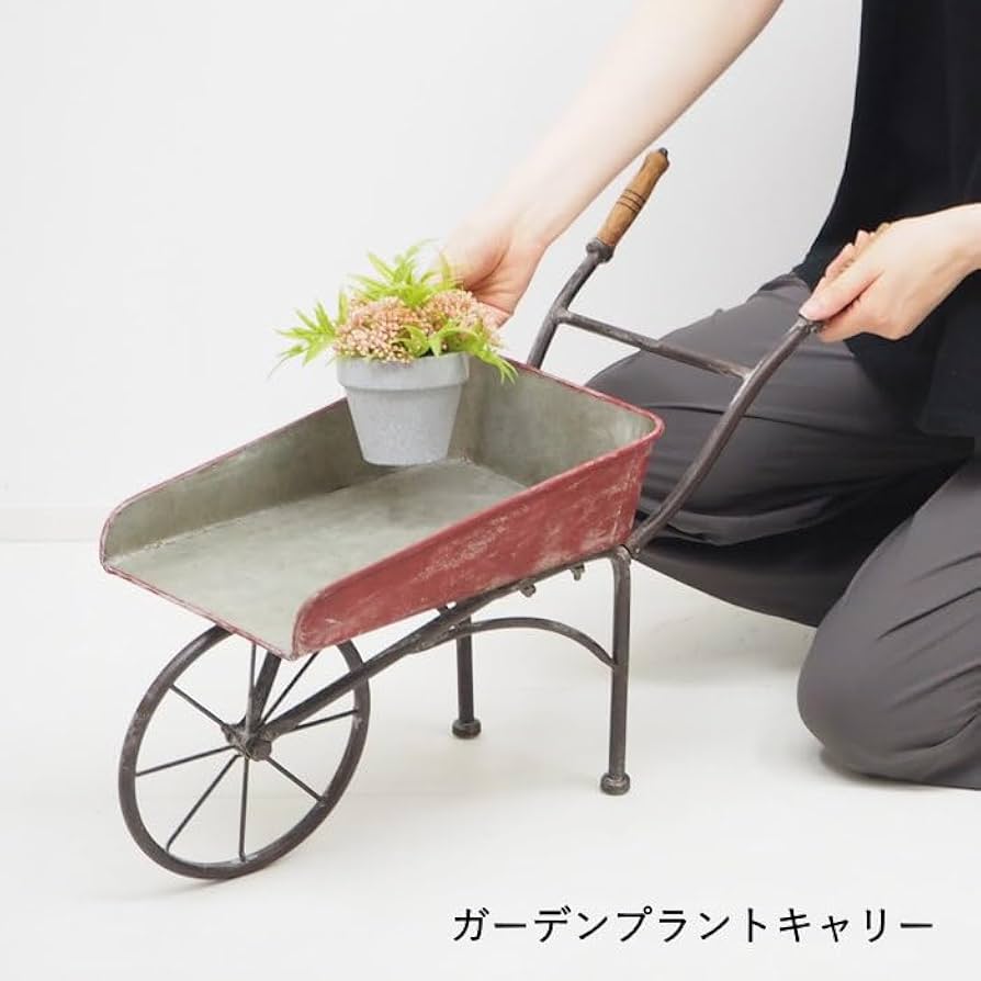 MURATAYA No.7508一輪車 ガーデンプラントキャリー Amazon.co.jp: 村田屋産業 ガーデンプラントキャリー 7508 : DIY