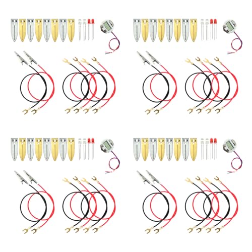 EUDAX Fruit Battery Science Kit (4 Sets)