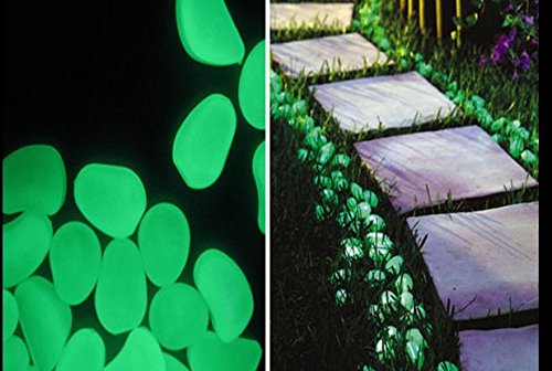 Vvivid Glow In The Dark Fine Pigment Powder 30G/1Oz Packet (Orange) #TOP7