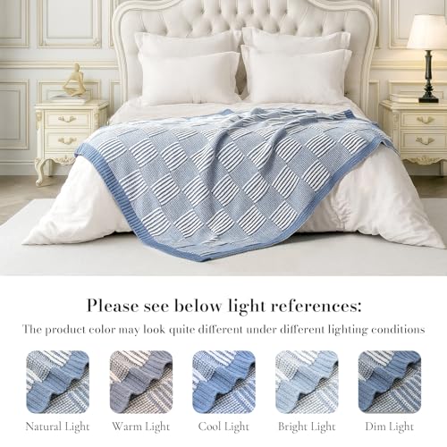 Amélie Home Checkered Knit Throw Blanket for Couch, Chenille Texture Decorative Soft Blanket for Sofa & Chair, 50"x60", Blue & White