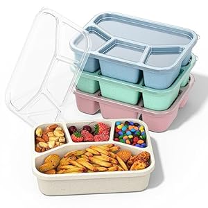 Bento Box Adult Lunch Box (4 Pack), 4-Compartment Meal Prep Container for Kids, Reusable Food Storage Containers with Transparent Lids, No BPA, Microwaveable (Wheat (Green/Blue/Pink/Beige))