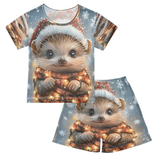 ALAZA Hedgehog Animal Snowflake Christmas Pajamas Set Short Sleeve Cotton Sleepwear Summer Pjs 2 Piece 5-14Y