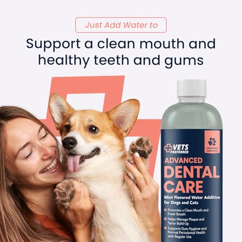 Image of Vets Preferred Dog Breath Freshener & Water Additive for Dental Care - Fights Bad Breath, Removes Tartar & Plaque - Dog Mouthwash for Healthy Teeth & Gums, Gingivitis Support - Mint Flavor (Pack of 3)