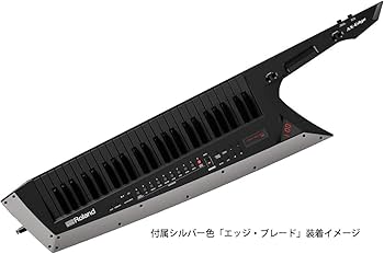 Roland AX-EDGE-B 49鍵盤（AX-EDGE ショルダーキーボード Roland AX-Edge-B (ブラック) 49鍵盤 シンセサイザー ショルダー