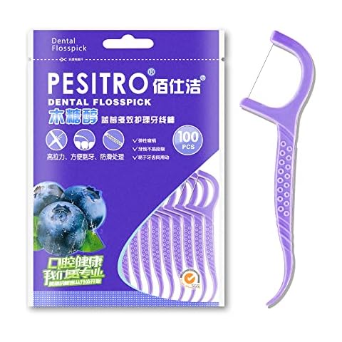 100 Dental Floss, Upgrade Blueberry Floss Picks, Portable Floss Sticks Dental, Durable Floss Picks for Teeth, Tooth Picks Sticks Plastic for Home Travel Office(Super Blueberry) Cover