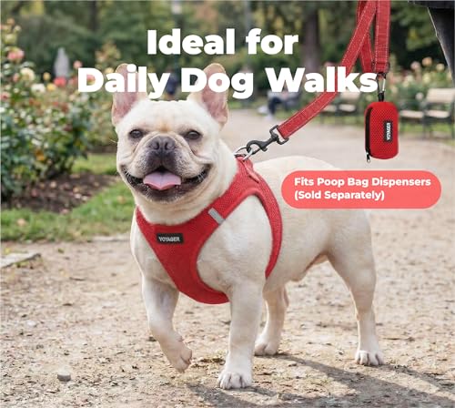 Image of Best Pet Supplies Voyager Reflective Dog Leash or Collar with Neoprene Handle, for Small, Medium, and Large Breed Puppies, Cute and Heavy Duty for Walking, Running and Training - Red (Leash), M