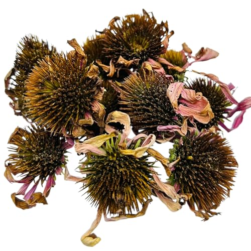 Flores de Equinácea Secas Premium 25g – 1,95Kg - 100 % Natural echinacea Purpurea (85 gramos)