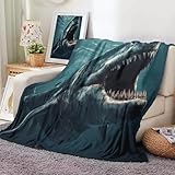 GSAEIMCT Wilder Wal Bedruckt Kuscheldecke,Kinderdecke Meereslebewesen Flauschige Plüsch Decke,Wohndecke Fleece Tagesdecke Decke TV Decken für Bett Sofa 100x130cm