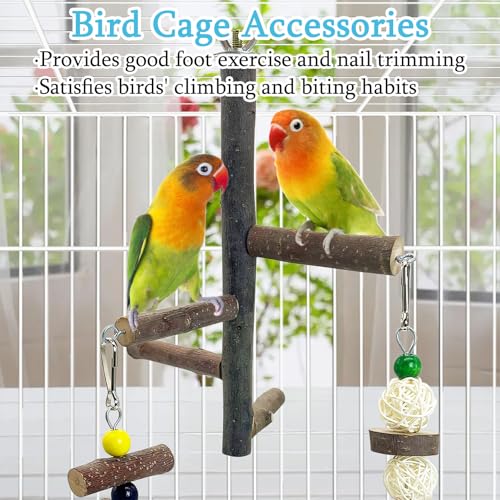 Image of Hamiledyi Bird Perch Stand Toy, Natural Wood Bird Perch Stand Birds Perch Toys with Rotating Balls Parakeet Toys for Parakeets Cockatiels Conures Budgies Finches Love Birds