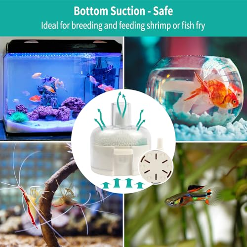 Image of Small Aquarium Sponge Filter, Small Fish Tank Filter & Mini Submersible Fish Filter Built-in Air Bubble Stone and Bio Sponge for Fish Tanks up to 5 Gallon (Air Pump Not Included)