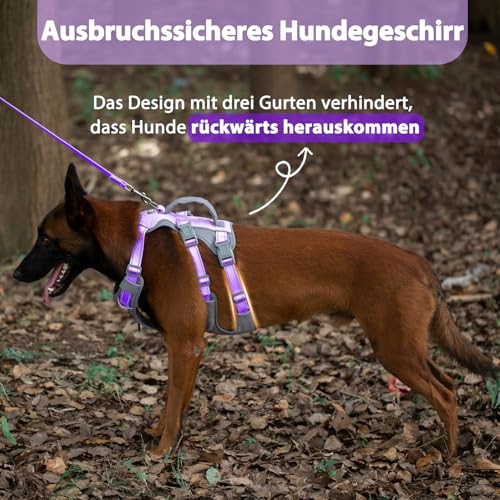 Huntboo Sicherheitsgeschirr Hund Ausbruchsicher, Panikgeschirr für Hunde, Reflektierendes Geschirr Hund mit Griff, Verstellbare Hundegeschirr für kleine, mittelgroße und große Hunde (Lavendel Lila,M)