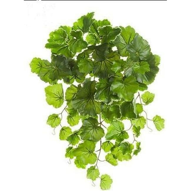 21" UV Protected Geranium Leaf Bush Variegated (pack of 6)