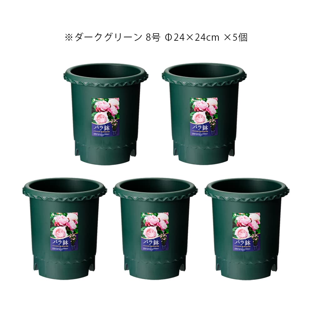 リッチェル　バラ鉢 ７個（中古） ダークグリーン（内２個未使用） Amazon.co.jp: リッチェル バラ鉢 ダークグリーン 8号×5個 φ24