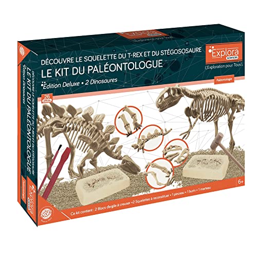EXPLORA - 2 Esqueletos de Dinosaurios - Kit De Paleontólogo - 039402 - Yeso para Excavar - Kit de Descubrimiento - Juego para Niños - Científico - Aventura - Lúdico - Fósiles - A Partir de 6 años