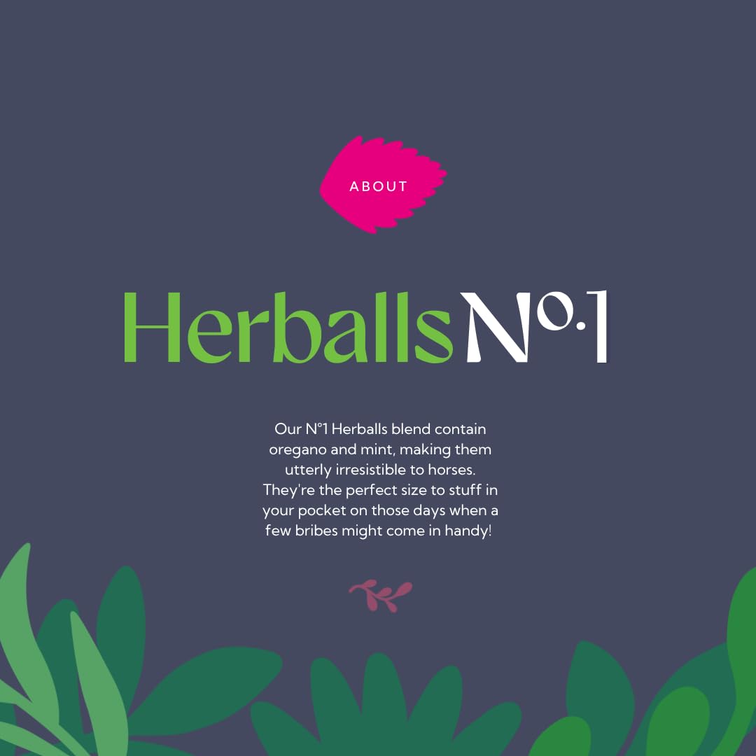 Hilton Herbs Herballs 100% Natural Treats � No Sugar, Molasses-Free, Healthy Horse Snacks — view 5