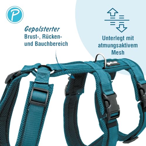 Petlando Sicherheitsgeschirr, ausbruchsicheres Hundegeschirr mit extra Bauchgurt, weich gepolstert mit Mesh, atmungsaktiv, robust, stufenlos verstellbar, Geschirr für kleine Hunde, Petrol, S