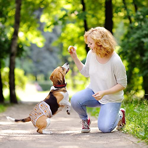 VSSHE Wiederverwendbare Hundewindeln, 3 Stück Hochsaugfähige Weiblich für Frauen Waschbare Hundewindel Hündin Saugfähigkeit Einstellbare Inkontinenz Hundeschutzhose für Weibliche Hunde-L