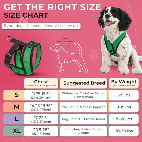 Image of Gooby Comfort X Head-in Dog Harness, Choke-Free, Hunter Green, Medium