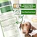 Hundeshampoo gegen Juckreiz und Hautirritationen – Naturales Shampoo für Haustiere mit Camellienöl für empfindliche Haut, Reduzierung der Fellausfälle | 473 ml (Kurzhaarhund)